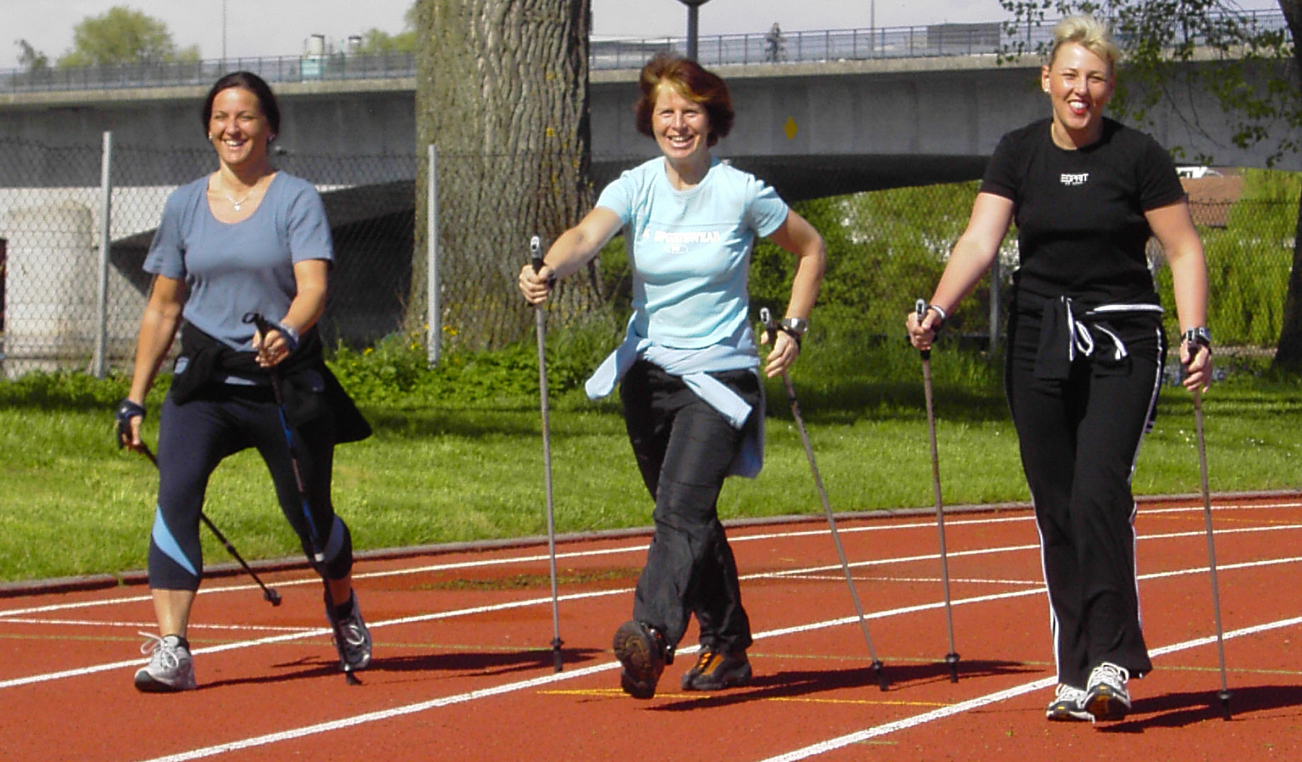nordic walking